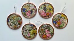 Mini dried flower preservation circles