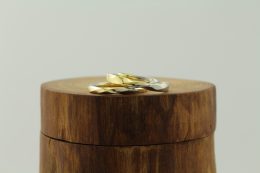 Pair of matching wedding rings in yellow gold and platinum at Jacqueline & Edward