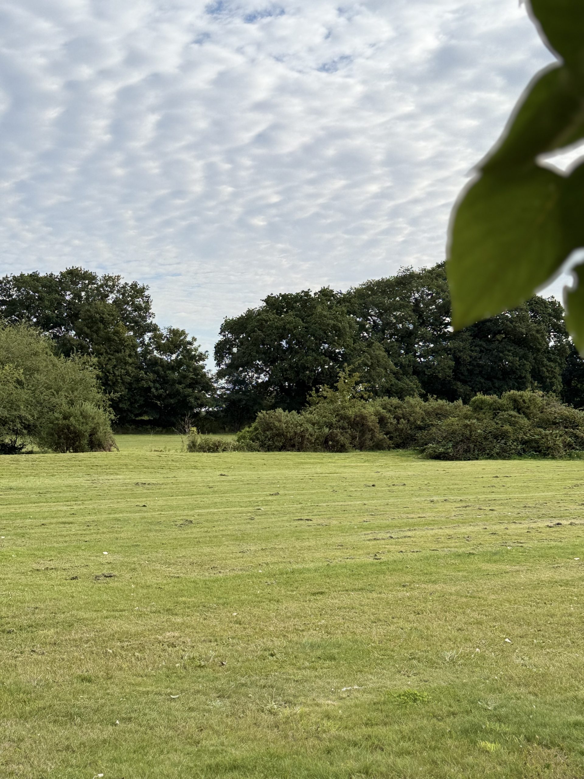 The Greens wedding venue