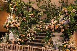abundance of floral displays
