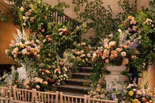 abundance of floral displays