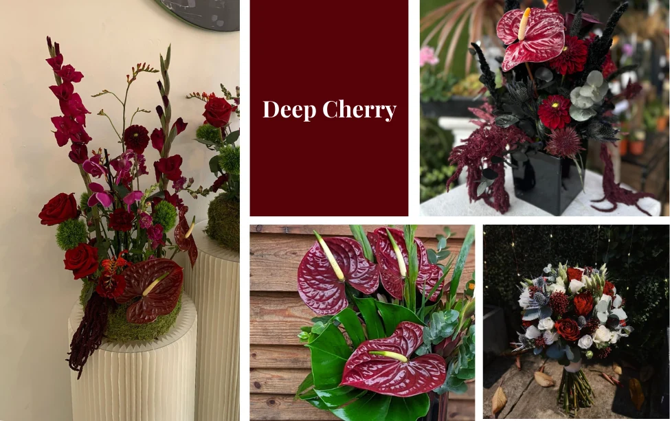 deep cherry colour palette