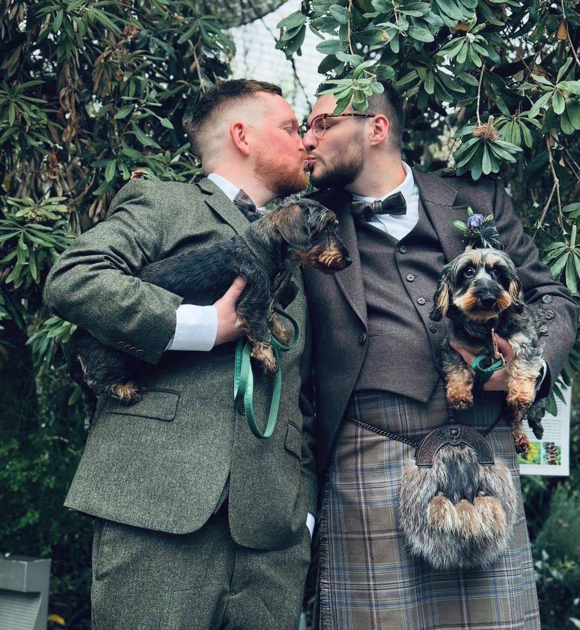 wedding with dogs